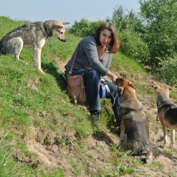 Vrijwilliger Stichting SOS Dogs Nederland