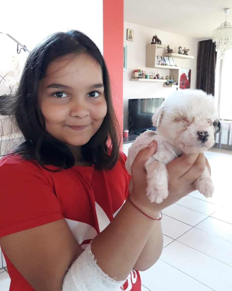 Blinde pup ter adoptie bij SOS Dogs