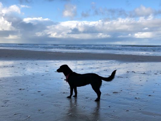 Zoey aan het strand